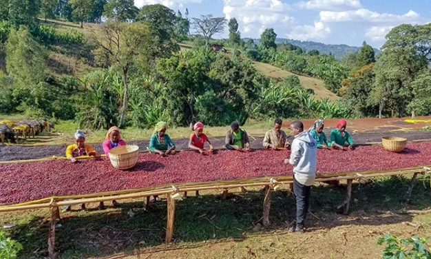 Kahvenin anavatanında TİCARET SAFARİSİ