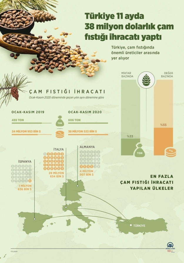 Türkiye 11 ayda 38 milyon dolarlık çam fıstığı ihracatı yaptı