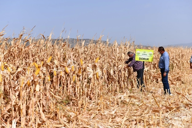 Tarım Kredi 2020'de yaklaşık 1,5 milyon tonluk gübre satışıyla rekor kırdı