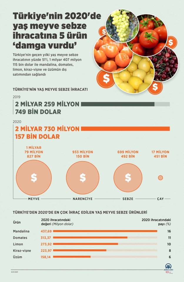 Türkiye'nin 2020'de yaş meyve sebze ihracatına 5 ürün damga vurdu