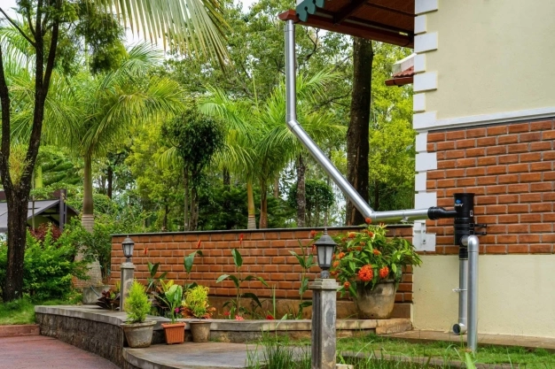 Yağmur suyunda hasat zamanı