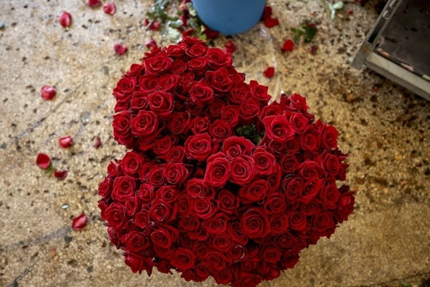 Türkiye'den Sevgililer Günü için 22 ülkeye 70 milyon dal kesme çiçek gönderildi