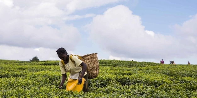 Doğu Afrika’ya giriş limanı