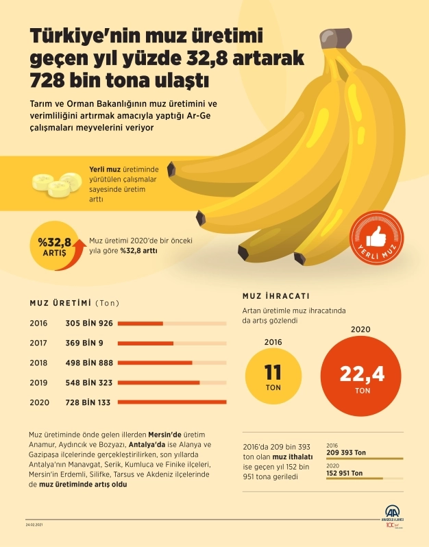 Türkiye'nin muz üretimi geçen yıl yüzde 32,8 artarak 728 bin tona ulaştı
