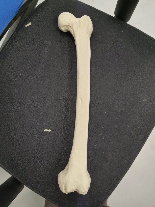 Ar-Ge ile yapay kadavra