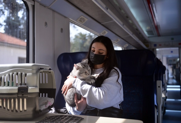 Maske ve yüz siperliği gibi donanımların ithalatında TAREKS üzerinden yapılan denetim işlemleri düzenlendi