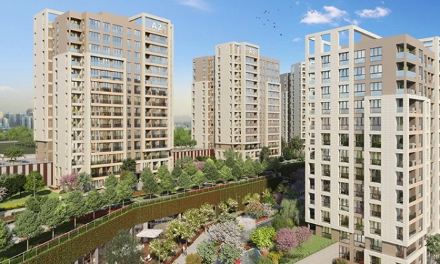 A unique real estate guide for the foreign investor