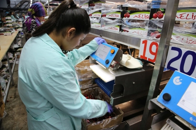 Sanayide yatırım iştahı sürüyor