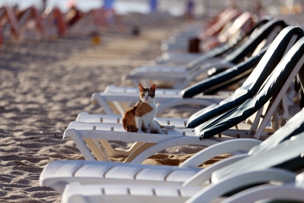 Turizm tesislerimiz uluslararası firmalarca denetleniyor
