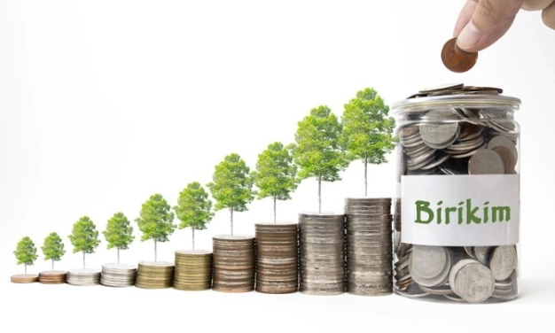 BES ile 18 yaş altından 50 milyar TL fon