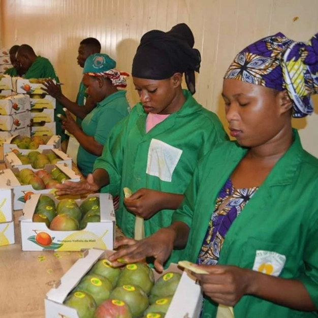 Gambiya ile ticaret kadınlarla gelişebilir