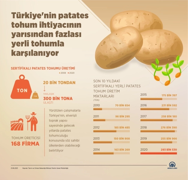Türkiye'nin patates tohum ihtiyacının yarısından fazlası yerli tohumla karşılanıyor