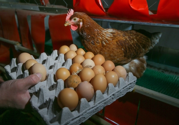 Gıda sektörü vadeye sınır istiyor