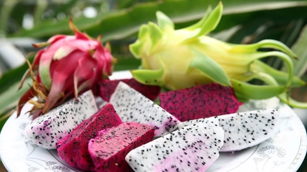 Üretim alanı genişleyen ejder meyvesi fiyatıyla üreticisinin yüzünü güldürdü