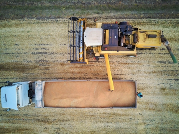 Hububat ve bakliyat ihracatı salgına rağmen arttı