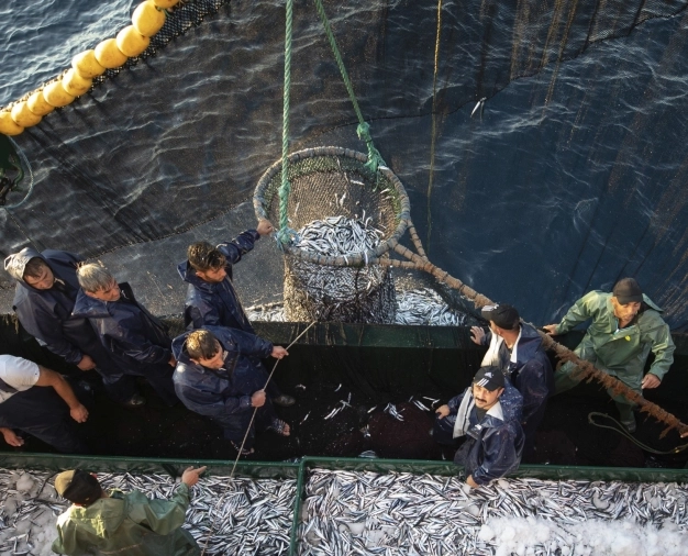 Tekneler deryaya bereket için açılacak
