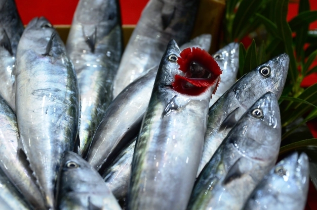 Tekneler deryaya bereket için açılacak