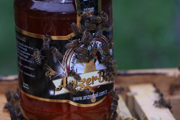 Anzer balının kilogramı 1200 lira oldu