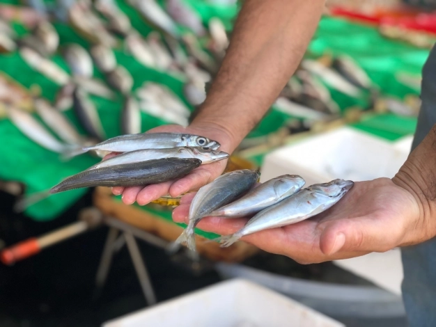 Denizlerde av sezonu başladı