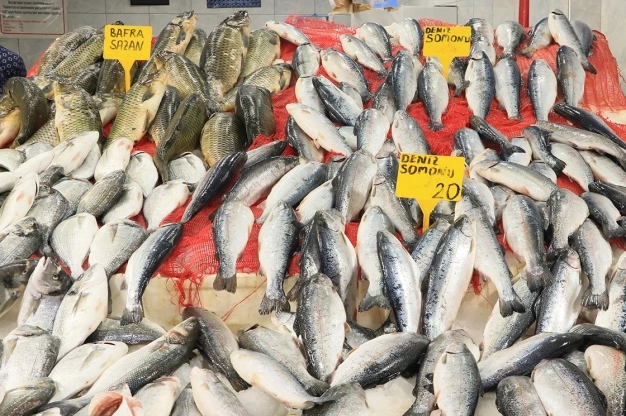 'Vira Bismillah' diyen balıkçıların avladığı balıklar tezgahları süsledi