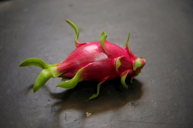 Tropikal meyve ihracatı yüzde 172 arttı