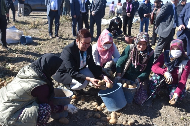 Dünya gıda piyasasında kıtlık korkusu