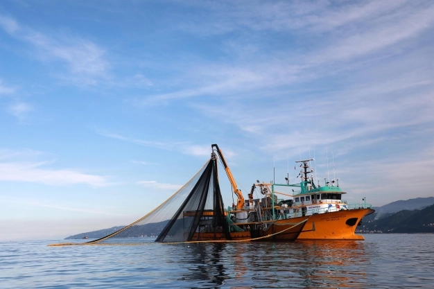 Bereketli sezon herkese yaradı