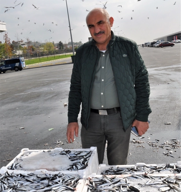 Bereketli sezon herkese yaradı