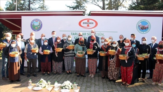 Osmanlı çileği coğrafi işaret tescil belgesi aldı