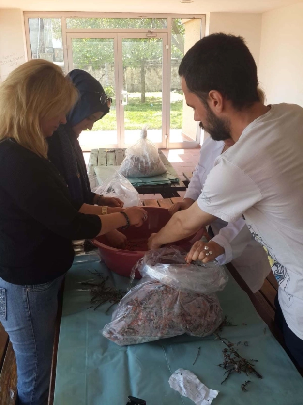 Stratejik bitkilerden şifalı formüller