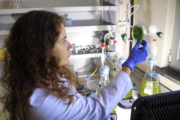 ihracatta birim değer de yükselişte