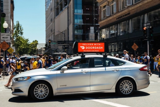 San Francisco’nun Türk ateş böcekleri