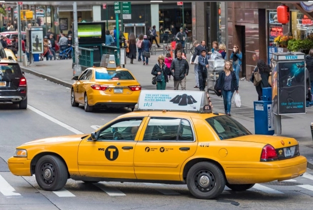 San Francisco’nun Türk ateş böcekleri