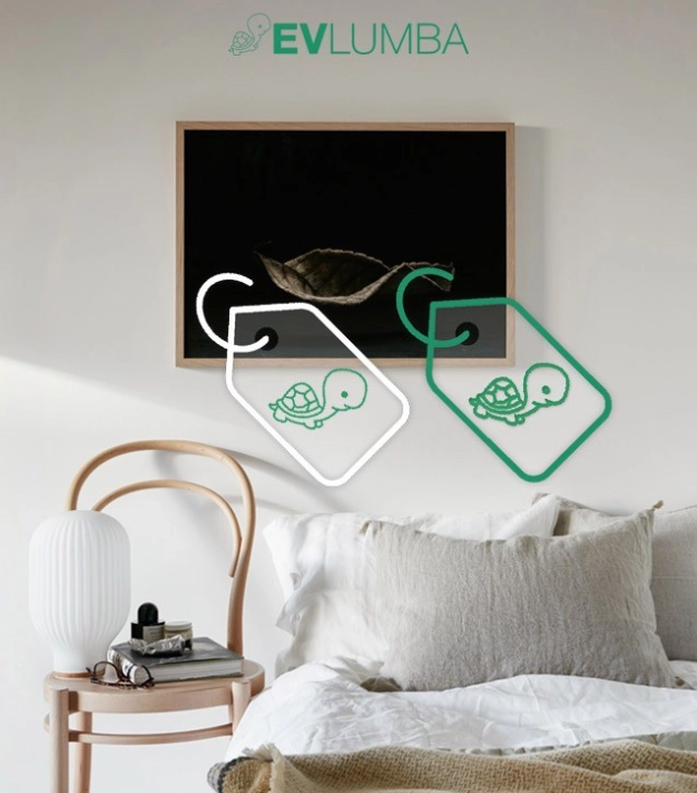 Eşyaya göre konut seçtiren uygulama: Evlumba