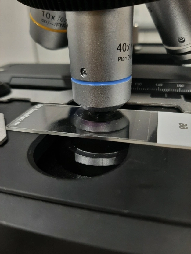 Patoloji sonuçlarını 3 günde bildiren girişim