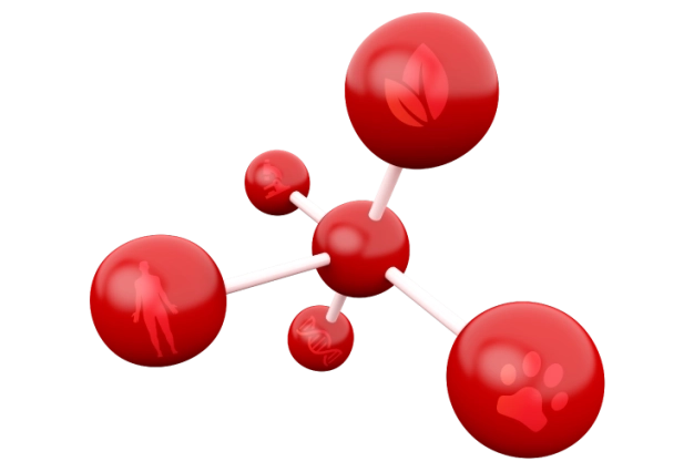 TEKNOFEST 2022 başvuruları başladı