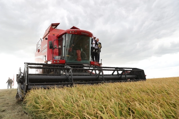 Tarımda ortak sorun vahşi sulama