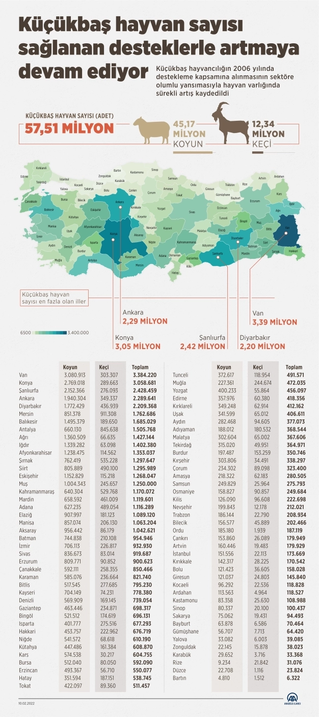 Küçükbaş hayvan sayısı sağlanan desteklerle artmaya devam ediyor