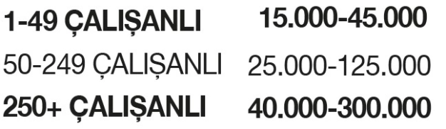 Suriyelilerin istihdamı için proje çağrısı