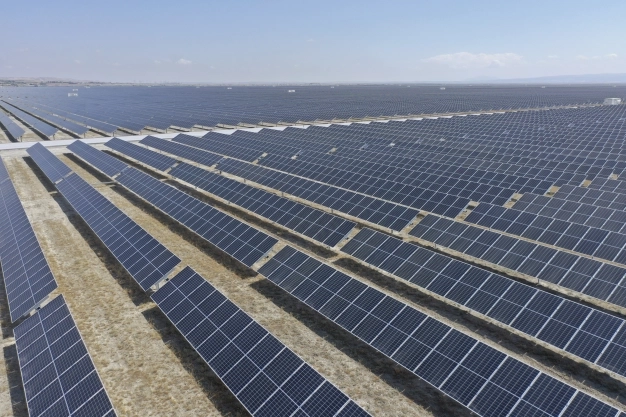 Top three sectors on global investor’s radar