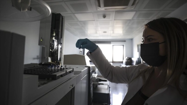 AB'nin organik tarım alanları artıyor