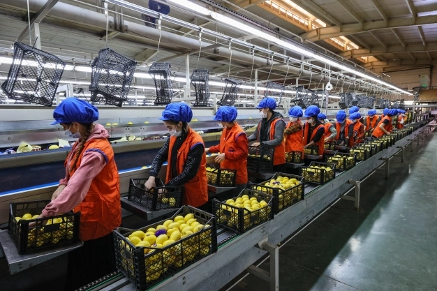 Türkiye ticaret savaşında tarafsız ve tedbirli