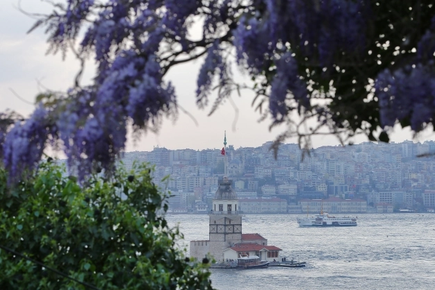Bu çiçekler İstanbul’a sevdalı