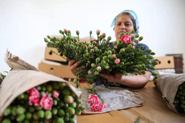 Çiçekçilerin Anneler Günü mesaisi başladı