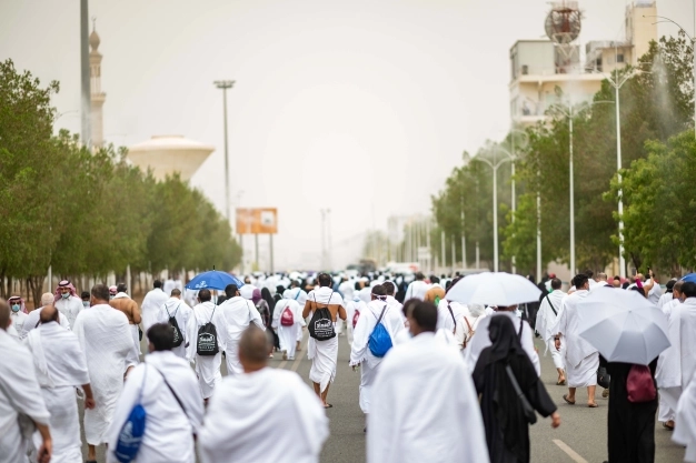 Acentelere hac kontenjanı müjdesi