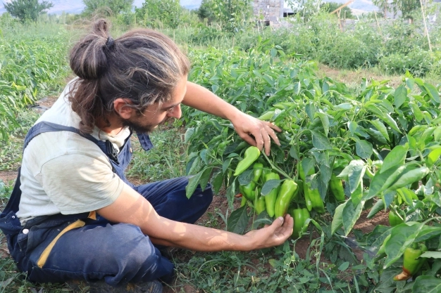 Gıda tedarikine sözleşmeli güvence