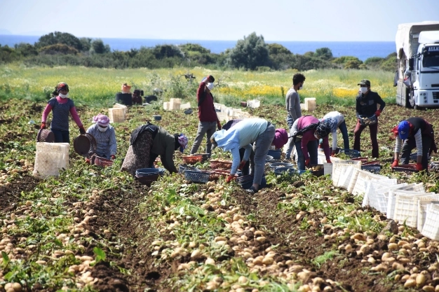 Gıda tedarikine sözleşmeli güvence