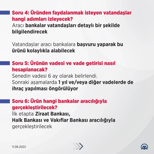 10 soruda 'gelire endeksli devlet iç borçlanma senedi'