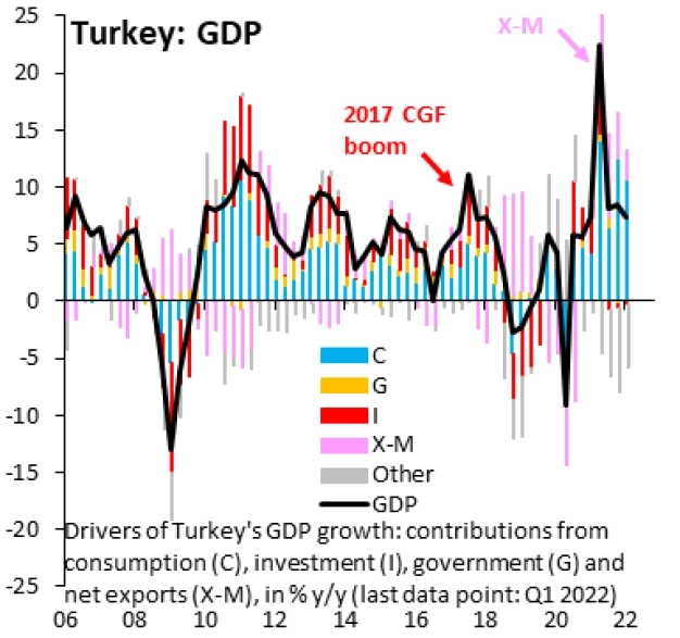 Uluslararası Finans Enstitüsü Başekonomisti Brooks'tan Türkiye paylaşımı