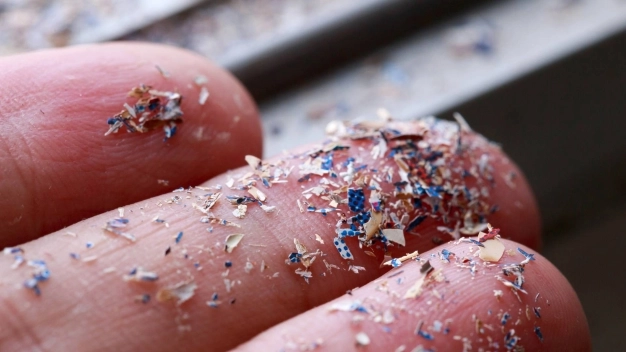 İpek, mikroplastiğe alternatif oluyor